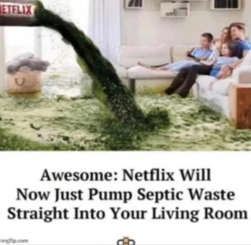 the state of netflix | made w/ Imgflip meme maker