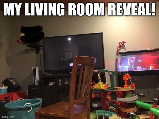 Well, my family’s living room | MY LIVING ROOM REVEAL! | made w/ Imgflip meme maker