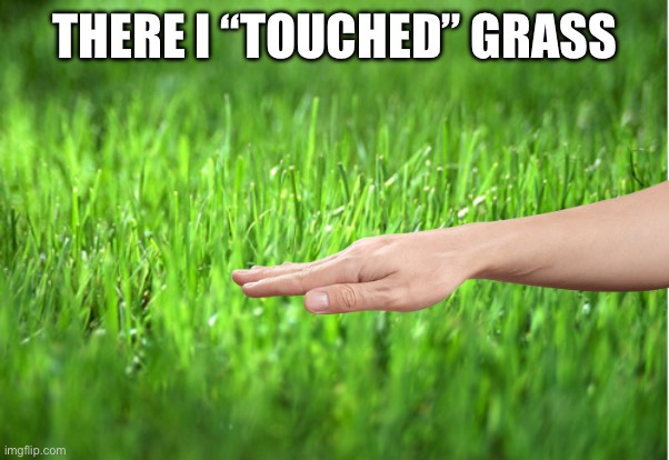 grass is greener | THERE I “TOUCHED” GRASS | image tagged in grass is greener | made w/ Imgflip meme maker