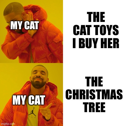 My cat is sometimes a menace to society | THE CAT TOYS I BUY HER; MY CAT; THE CHRISTMAS TREE; MY CAT | image tagged in memes,drake hotline bling | made w/ Imgflip meme maker