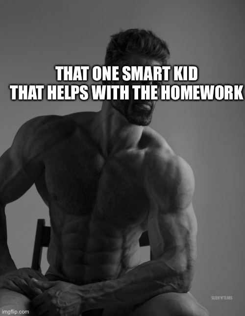 Giga Chad | THAT ONE SMART KID THAT HELPS WITH THE HOMEWORK | image tagged in giga chad | made w/ Imgflip meme maker