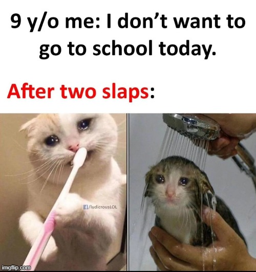 image tagged in school,slap,pain,childhood | made w/ Imgflip meme maker