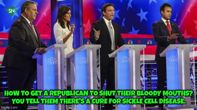 Silent Racism | HOW TO GET A REPUBLICAN TO SHUT THEIR BLOODY MOUTHS?
YOU TELL THEM THERE'S A CURE FOR SICKLE CELL DISEASE. | image tagged in maga,gop,republicans,sickle cell cure,rascism,predjudice | made w/ Imgflip meme maker