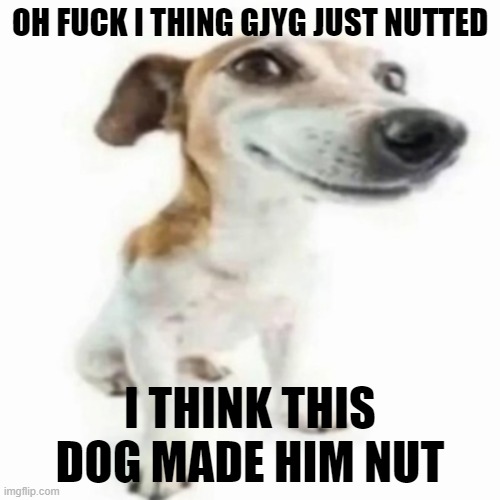 he got turned on | OH FUCK I THING GJYG JUST NUTTED; I THINK THIS DOG MADE HIM NUT | image tagged in beer keg and dog | made w/ Imgflip meme maker