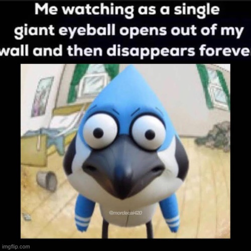 Wat | image tagged in memes,funny,lol,what the heck,iceu | made w/ Imgflip meme maker