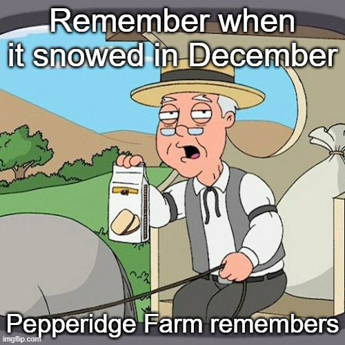 Todays kids will never know the joy of playing in the snow. | Remember when it snowed in December; Pepperidge Farm remembers | image tagged in memes,pepperidge farm remembers,funny,sad but true,relatable | made w/ Imgflip meme maker