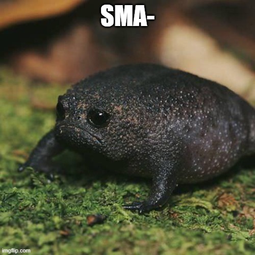 Sad Toad | SMA- | image tagged in sad toad | made w/ Imgflip meme maker