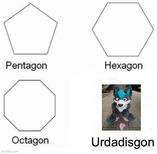 If ur a furry urdadisgon | Urdadisgon | image tagged in memes,pentagon hexagon octagon | made w/ Imgflip meme maker