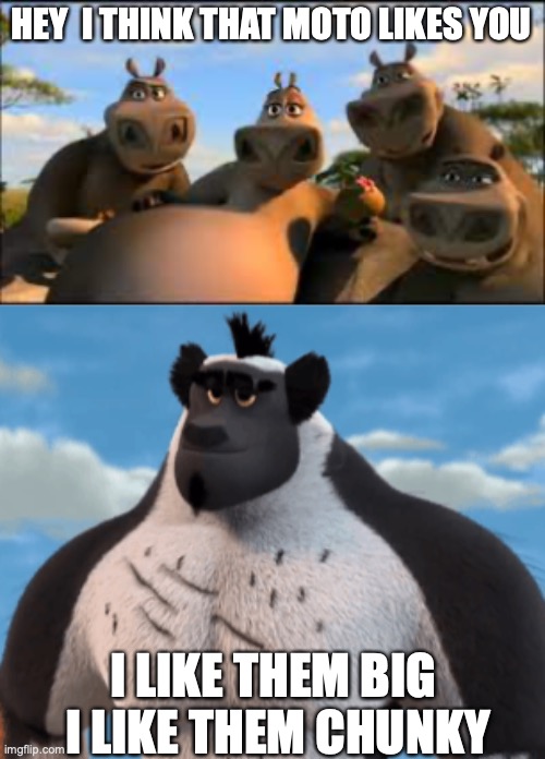 Madagascar moto moto meme | HEY  I THINK THAT MOTO LIKES YOU; I LIKE THEM BIG 
I LIKE THEM CHUNKY | image tagged in moto moto,madagascar meme,koto | made w/ Imgflip meme maker