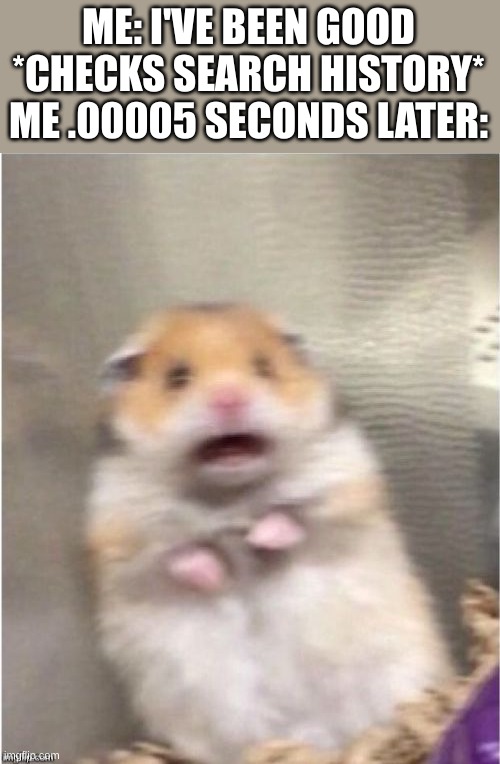 Scared Hamster | ME: I'VE BEEN GOOD
*CHECKS SEARCH HISTORY*
ME .00005 SECONDS LATER: | image tagged in scared hamster | made w/ Imgflip meme maker