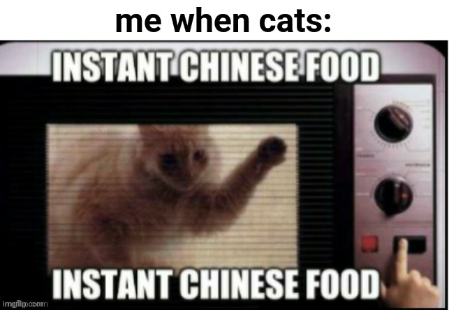 Instant chinese food | me when cats: | image tagged in instant chinese food | made w/ Imgflip meme maker