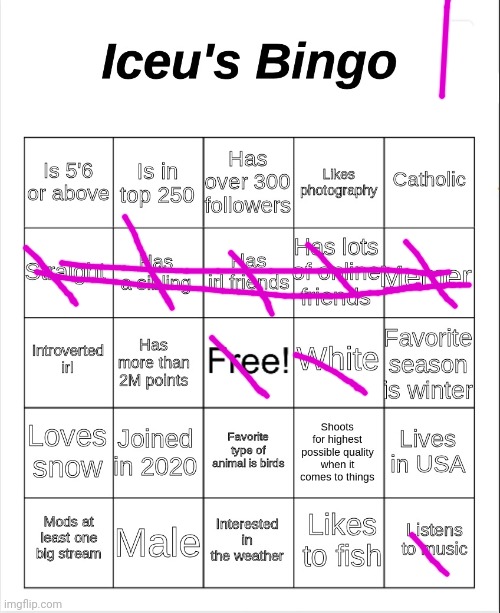 Iceu's Bingo | image tagged in bingo,iceu | made w/ Imgflip meme maker