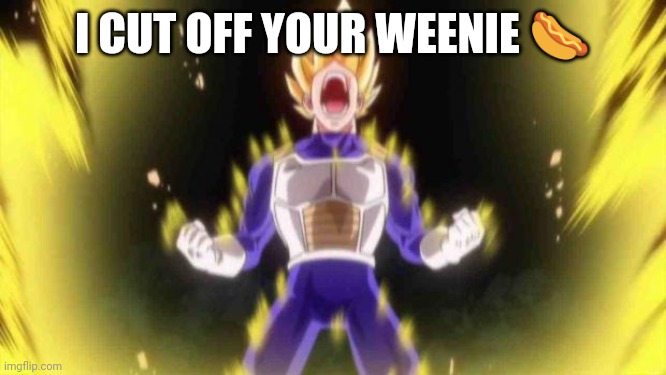 vegeta | I CUT OFF YOUR WEENIE ? | image tagged in vegeta | made w/ Imgflip meme maker