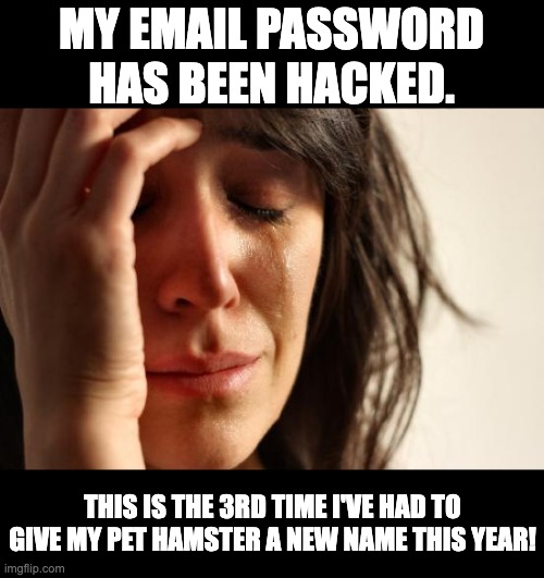Password | MY EMAIL PASSWORD HAS BEEN HACKED. THIS IS THE 3RD TIME I'VE HAD TO GIVE MY PET HAMSTER A NEW NAME THIS YEAR! | image tagged in memes,first world problems | made w/ Imgflip meme maker