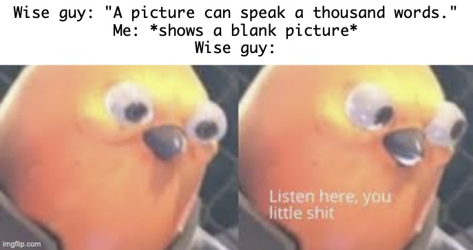 Damn! | Wise guy: "A picture can speak a thousand words."
Me: *shows a blank picture*
Wise guy: | image tagged in listen here you little shit bird,memes,funny | made w/ Imgflip meme maker