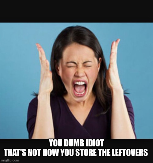 Screaming Woman | YOU DUMB IDIOT
THAT'S NOT HOW YOU STORE THE LEFTOVERS | image tagged in screaming woman | made w/ Imgflip meme maker