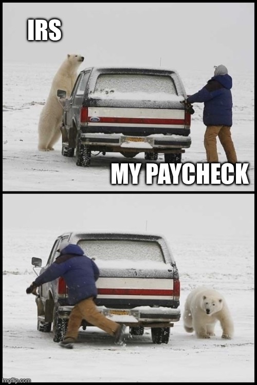 Taxes | IRS; MY PAYCHECK | image tagged in polar bear chases man | made w/ Imgflip meme maker