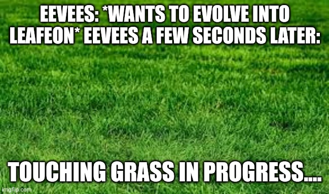 touching grass | EEVEES: *WANTS TO EVOLVE INTO LEAFEON* EEVEES A FEW SECONDS LATER:; TOUCHING GRASS IN PROGRESS.... | image tagged in touching grass | made w/ Imgflip meme maker