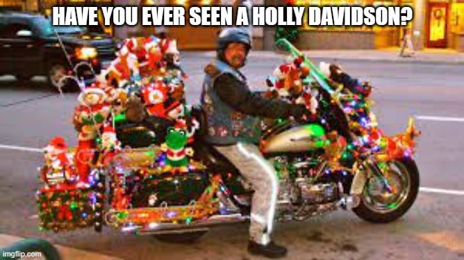 meme by Brad Christmas Holly Davidson | HAVE YOU EVER SEEN A HOLLY DAVIDSON? | image tagged in christmas meme | made w/ Imgflip meme maker