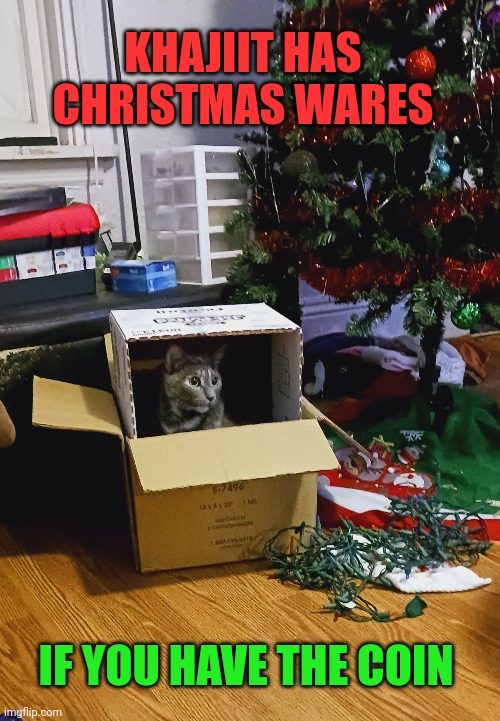 MY CAT IS SELLING CHRISTMAS ORNAMENTS | KHAJIIT HAS CHRISTMAS WARES; IF YOU HAVE THE COIN | image tagged in cats,cat,christmas | made w/ Imgflip meme maker