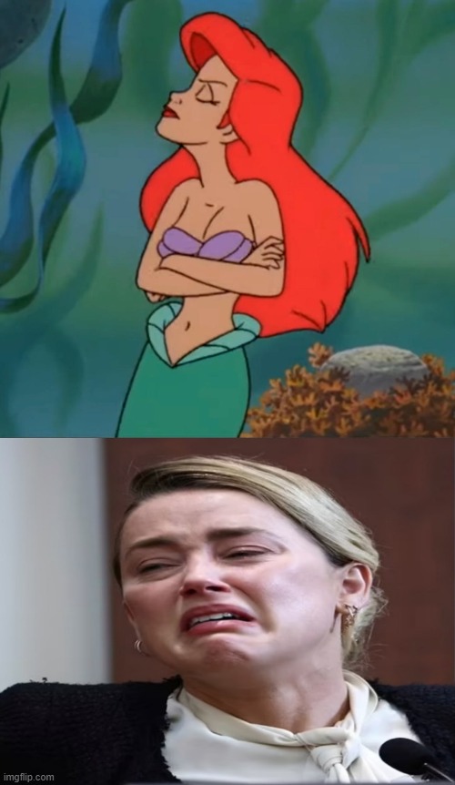 ariel doesn't like amber turd | image tagged in ariel doesn't like,turd,amber heard,disney,the little mermaid,it's been 3000 years | made w/ Imgflip meme maker