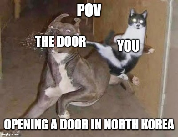 GOT REKT DIDN'T YA DOOR | POV; THE DOOR; YOU; OPENING A DOOR IN NORTH KOREA | image tagged in get rekt,memes | made w/ Imgflip meme maker