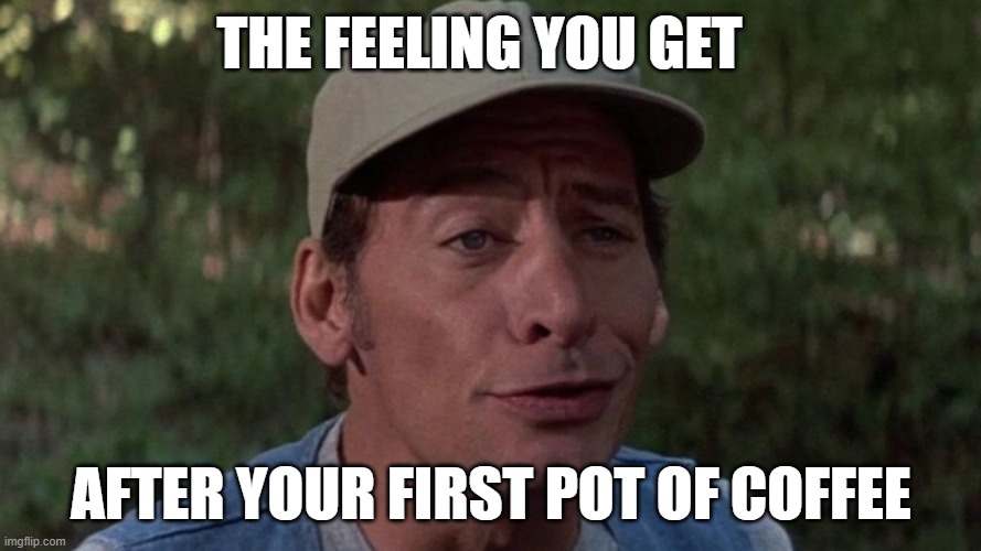ERNEST P WORRELL  THE FEELING YOU GET AFTER YOUR FIRST POT OF COFFEE | THE FEELING YOU GET; AFTER YOUR FIRST POT OF COFFEE | image tagged in coffee | made w/ Imgflip meme maker