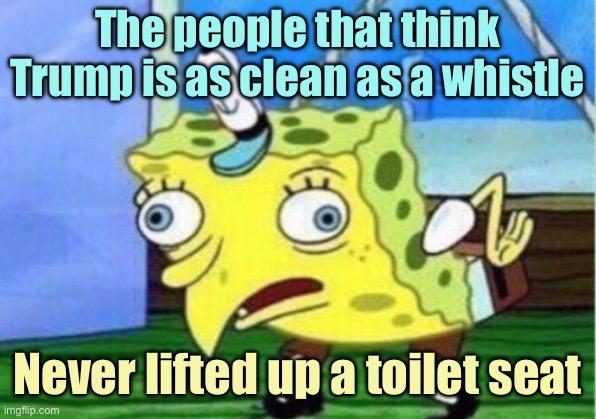 Mocking Spongebob | The people that think Trump is as clean as a whistle; Never lifted up a toilet seat | image tagged in memes,mocking spongebob | made w/ Imgflip meme maker