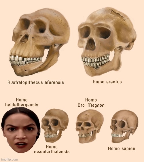 image tagged in crazy aoc,human evolution | made w/ Imgflip meme maker