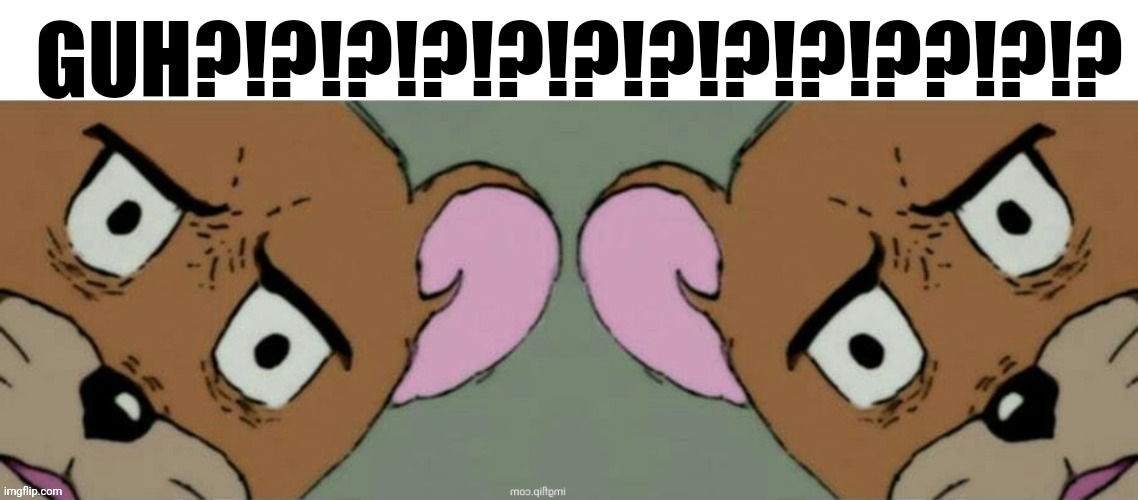 me n bro | GUH?!?!?!?!?!?!?!?!?!??!?!? | image tagged in me n bro | made w/ Imgflip meme maker