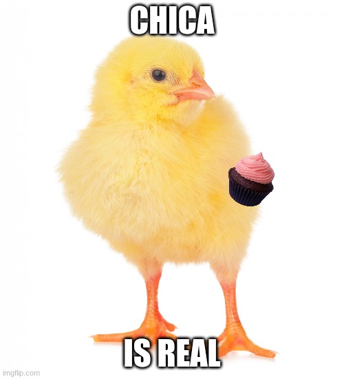 chicks are yellow | CHICA; IS REAL | image tagged in fnaf,chicken | made w/ Imgflip meme maker