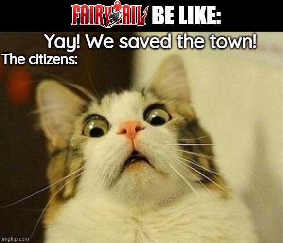 Fairy Tail Destroying towns Meme | Yay! We saved the town! BE LIKE:; The citizens:; ChristinaO | image tagged in memes,scared cat,fairy tail meme,fairy tail,fairy tail guild,anime meme | made w/ Imgflip meme maker