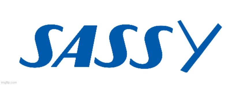 SASSY Airlines | image tagged in sassy,airlines | made w/ Imgflip meme maker