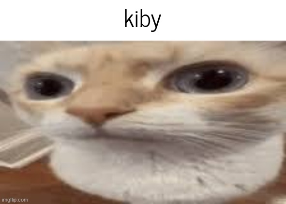 kiby | made w/ Imgflip meme maker