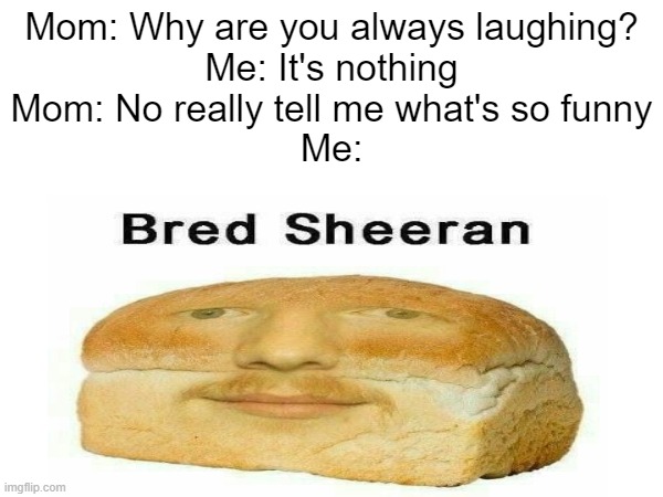 bred | Mom: Why are you always laughing?
Me: It's nothing
Mom: No really tell me what's so funny
Me: | image tagged in ed sheeran,bread | made w/ Imgflip meme maker