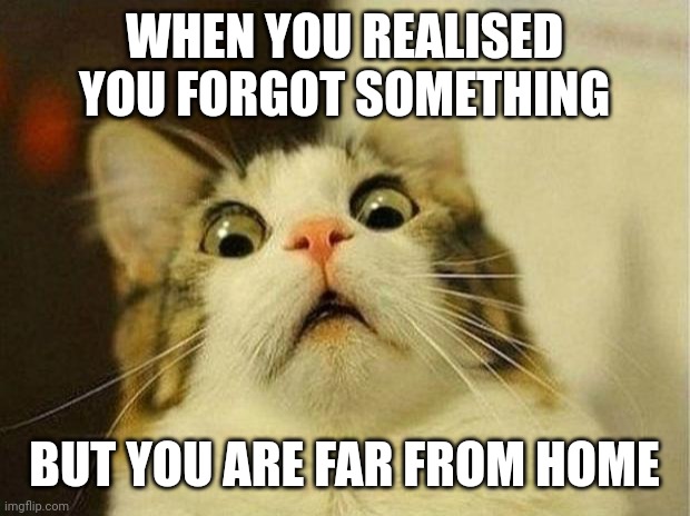 Scared Cat Meme | WHEN YOU REALISED YOU FORGOT SOMETHING; BUT YOU ARE FAR FROM HOME | image tagged in memes,scared cat | made w/ Imgflip meme maker
