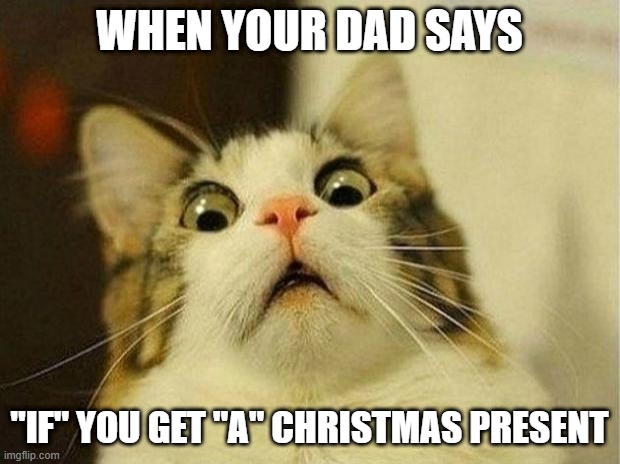 naw | WHEN YOUR DAD SAYS; "IF" YOU GET "A" CHRISTMAS PRESENT | image tagged in memes,scared cat | made w/ Imgflip meme maker