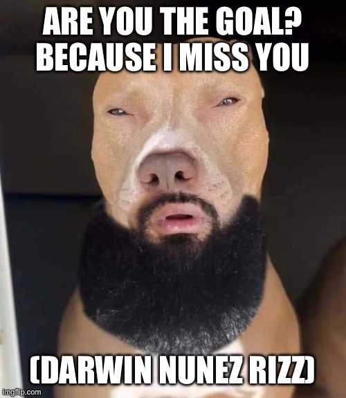 rizz dog | ARE YOU THE GOAL? BECAUSE I MISS YOU; (DARWIN NUNEZ RIZZ) | image tagged in rizz dog,potat,rizz | made w/ Imgflip meme maker