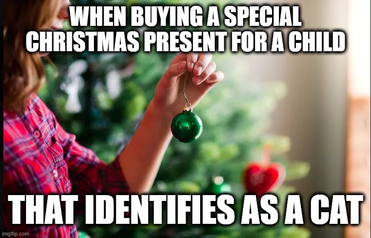 WHEN BUYING A SPECIAL CHRISTMAS PRESENT FOR A CHILD; THAT IDENTIFIES AS A CAT | image tagged in christmas memes | made w/ Imgflip meme maker