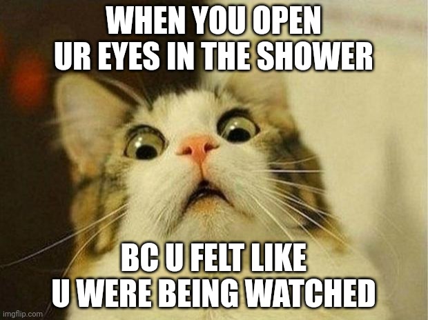 I can relate | WHEN YOU OPEN UR EYES IN THE SHOWER; BC U FELT LIKE U WERE BEING WATCHED | image tagged in memes,scared cat,shower thoughts | made w/ Imgflip meme maker