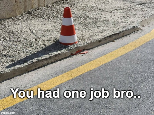 ...but....why? | You had one job bro.. | image tagged in you had one job,funny memes | made w/ Imgflip meme maker