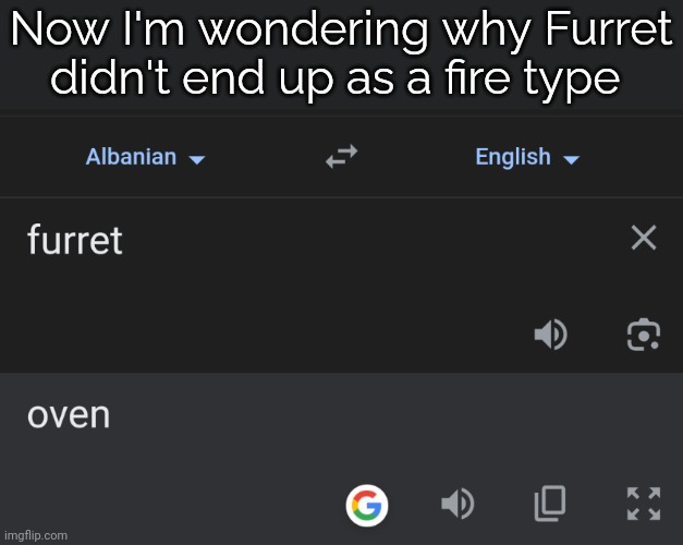 Seriously, why? | Now I'm wondering why Furret didn't end up as a fire type | image tagged in furret,oven,google translate | made w/ Imgflip meme maker