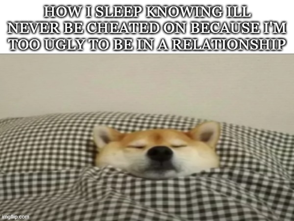 At least ill never be cheated on | HOW I SLEEP KNOWING ILL NEVER BE CHEATED ON BECAUSE I'M TOO UGLY TO BE IN A RELATIONSHIP | image tagged in funny,memes,fun,funny memes | made w/ Imgflip meme maker