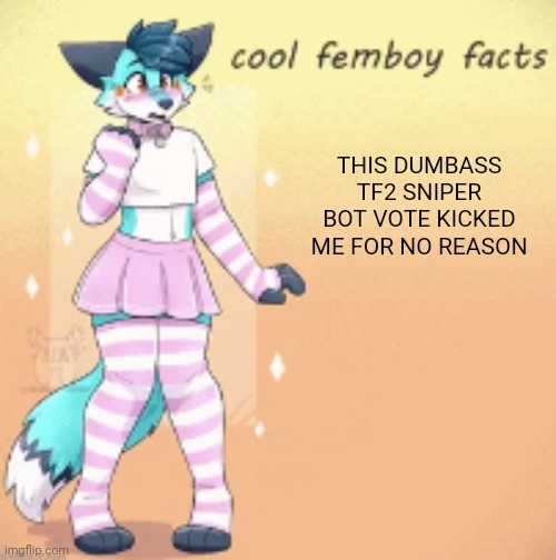 cool femboy facts | THIS DUMBASS TF2 SNIPER BOT VOTE KICKED ME FOR NO REASON | image tagged in cool femboy facts | made w/ Imgflip meme maker