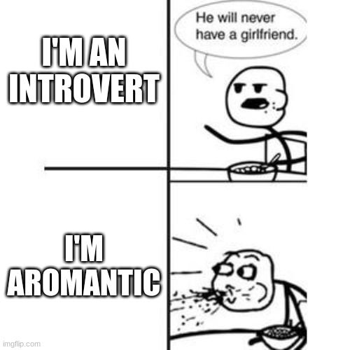 i don't need a partner | I'M AN INTROVERT; I'M AROMANTIC | image tagged in he will never have a girlfriend spits out food,no bitches | made w/ Imgflip meme maker