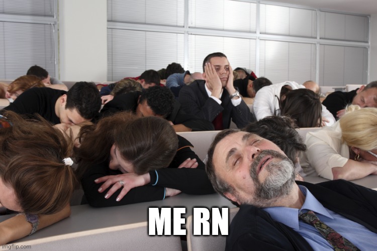 Boring Meeting | ME RN | image tagged in boring meeting | made w/ Imgflip meme maker