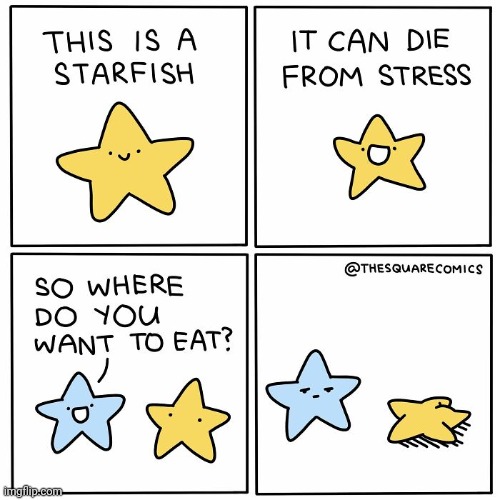 Starfish | image tagged in star,fish,starfish,stress,comics,comics/cartoons | made w/ Imgflip meme maker