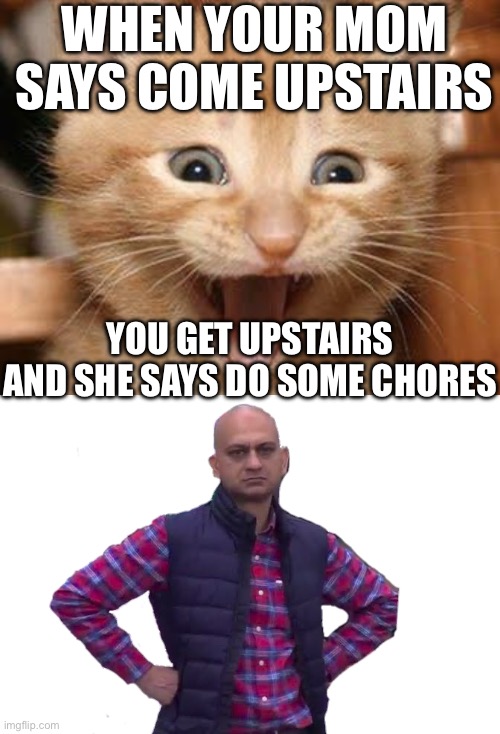 WHEN YOUR MOM SAYS COME UPSTAIRS; YOU GET UPSTAIRS AND SHE SAYS DO SOME CHORES | image tagged in memes,excited cat,disappointed man | made w/ Imgflip meme maker