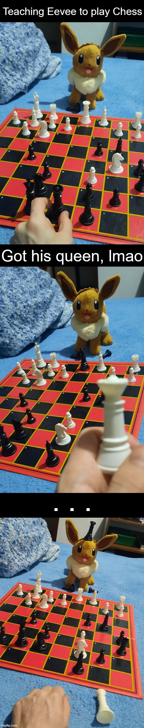 Last of my posts with this lil' guy | Teaching Eevee to play Chess; Got his queen, lmao; . . . | image tagged in eevee,chess | made w/ Imgflip meme maker