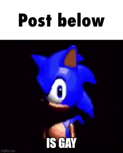 Real | IS GAY | image tagged in sonic post below | made w/ Imgflip meme maker